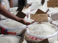 Stok Beras Nasional Tembus Rekor, Bapanas Pastikan Tak Ada Kelangkaan