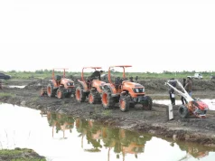 Harga Energi Dunia Naik, Ancaman Baru Hantui Swasembada Pangan RI