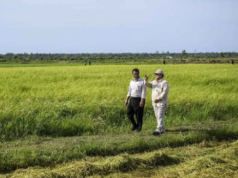 Survei BI: Aktivitas Usaha Tetap Positif, Pertanian Jadi Penopang Utama