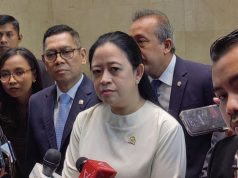 Puan Respons Safari Politik Jokowi: Hak Warga, Tapi Tetap Jaga Kondusivitas Ketua DPR RI Puan Maharani