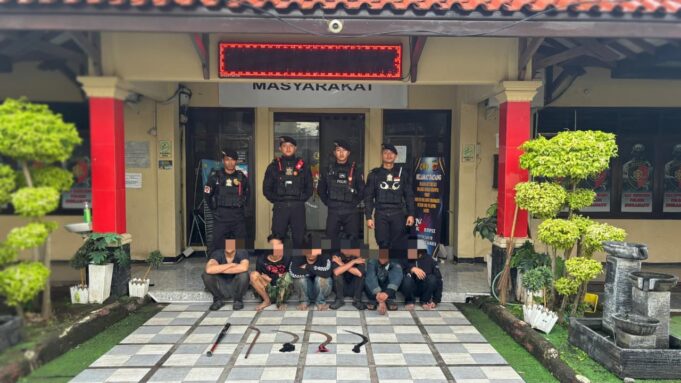 WhatsApp Image 2026-01-31 at 14.52.33