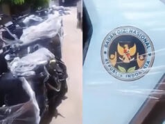 Video Viral Motor MBG Jadi Polemik, DPR Minta Klarifikasi BGN