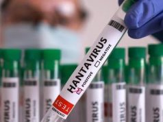 Waspada! Kemenkes Catat 23 Kasus Hantavirus, 3 Pasien Meninggal