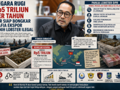 Negara Rugi Rp5 Triliun per Tahun, DPR Siap Bongkar Mafia Ekspor Benih Lobster Ilegal
