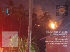 BNPB: Kekeringan Meluas di Sejumlah Daerah, Ancaman Kebakaran Hutan dan Lahan Ikut Mengintai